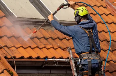 Démoussage et hydrofuge de toiture à Francueil